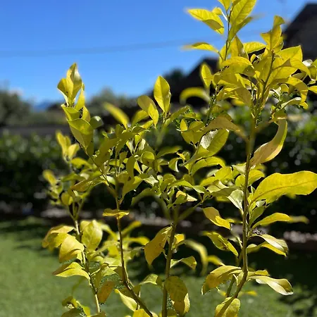 La Stanza Di Laura *