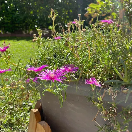 Kwatera prywatna La Stanza Di Laura *